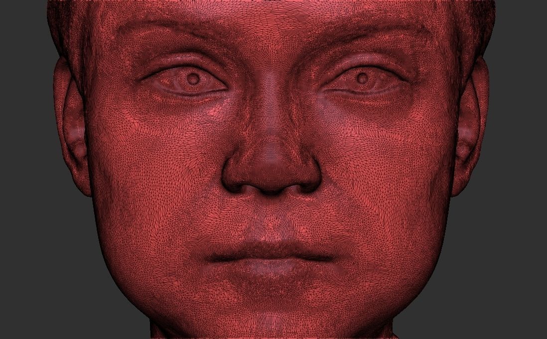 Greta Thunberg bust for 3D printing 3D print model_33