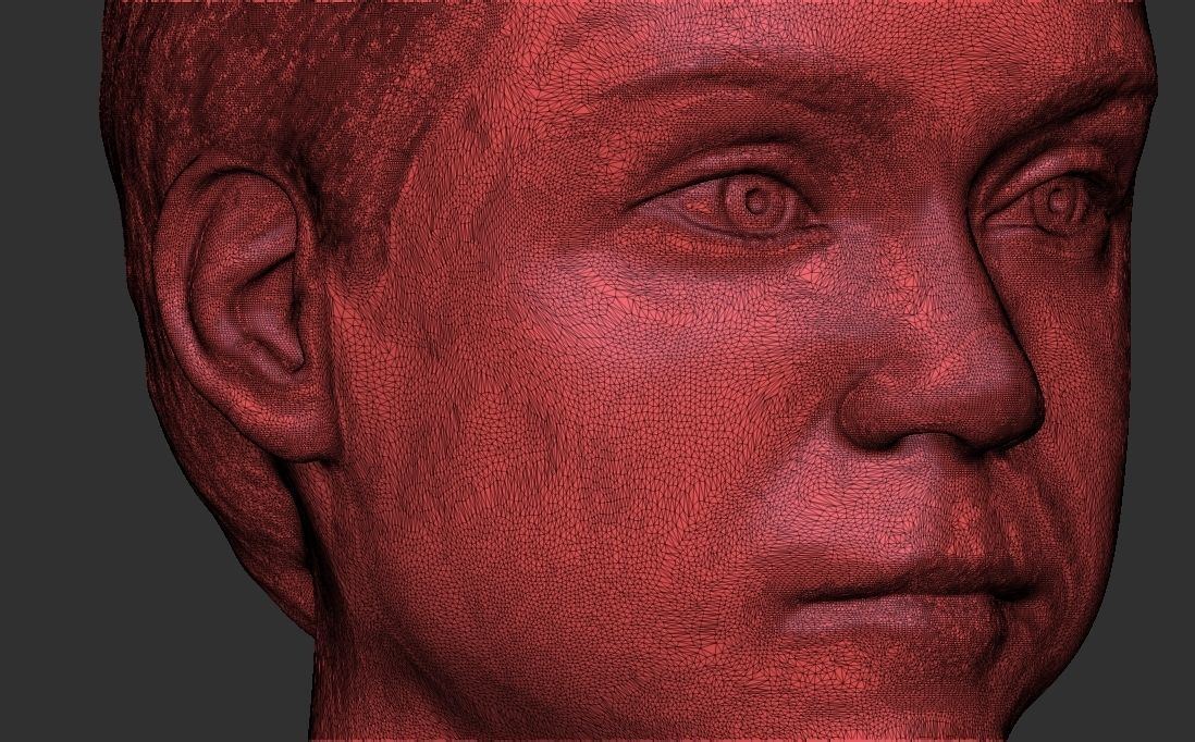 Greta Thunberg bust for 3D printing 3D print model_34