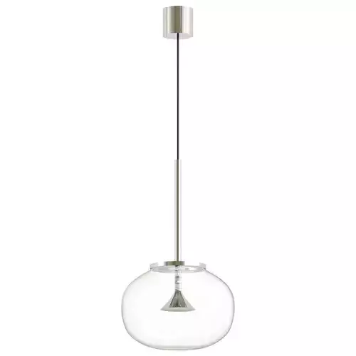 ALIVE modern pendant light with clear glass shade