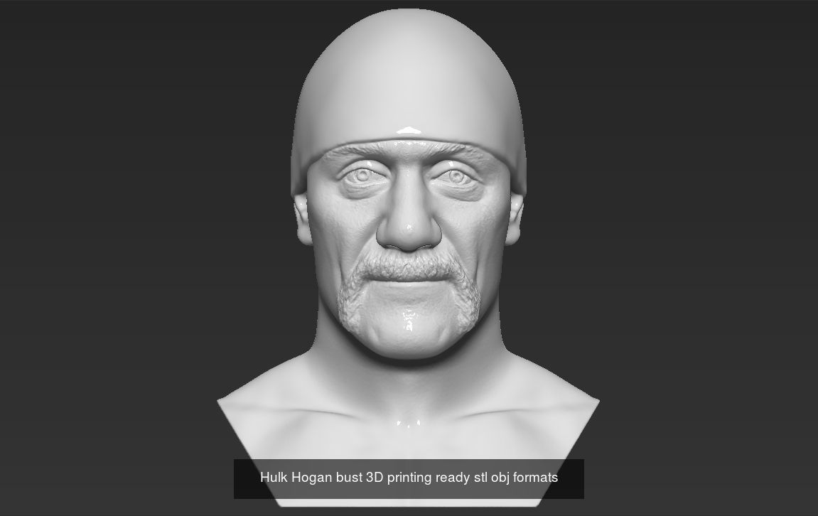 Famous Movie Characters 3D printing ready v2 3D Model Collection_1