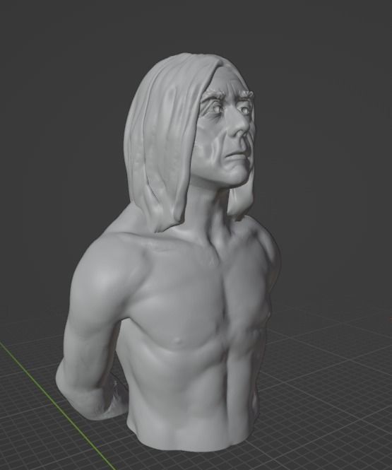 Iggy Pop 3D print model_3