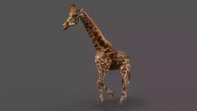 Fur Giraffe Rigged in Blender