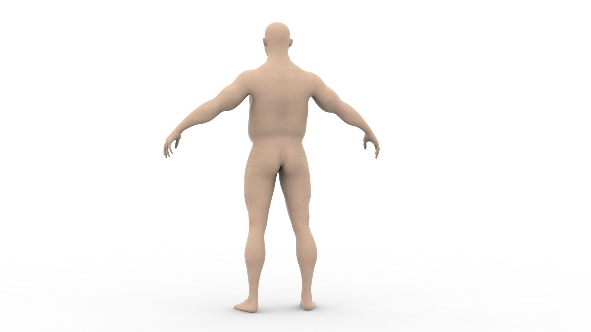 Chubby male 3D model_4