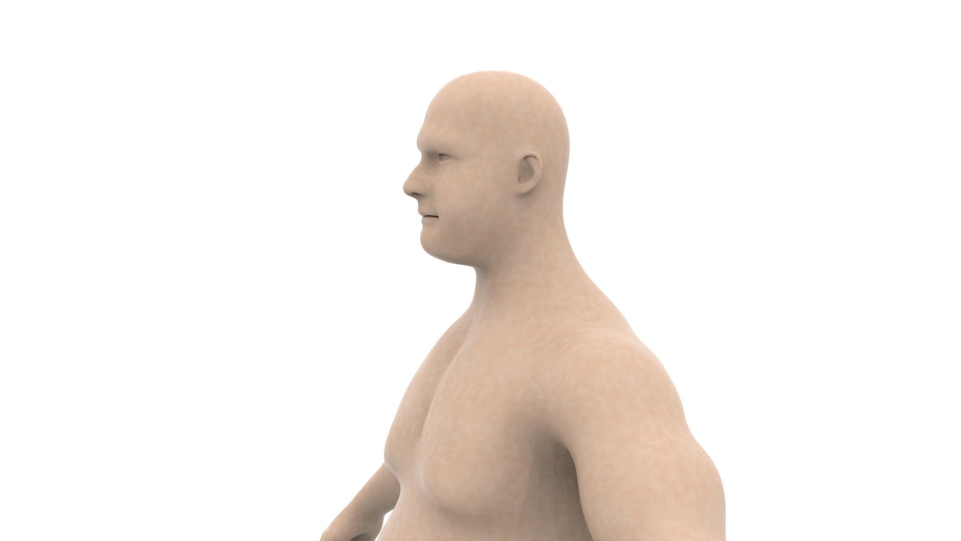 Chubby male 3D model_3