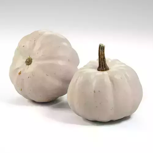 Pumpkin Munchkin 002