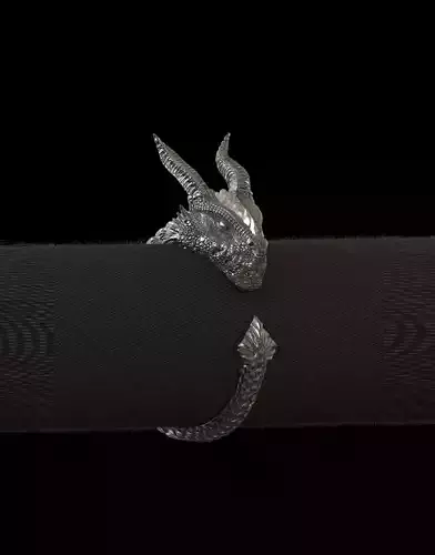 Dragon ring  3D print model