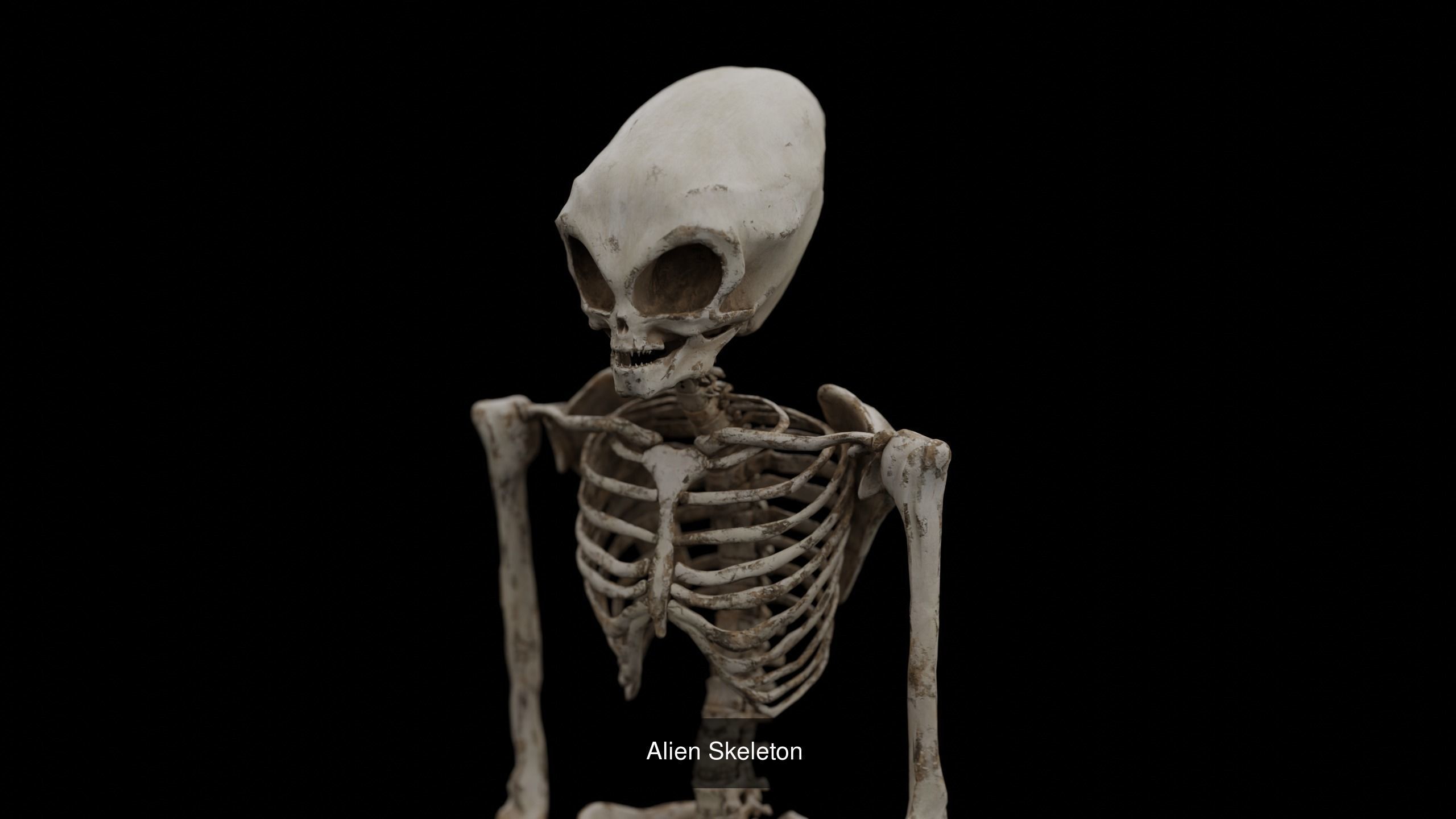 Halloween Haunted Ghost 3D Model Collection_10