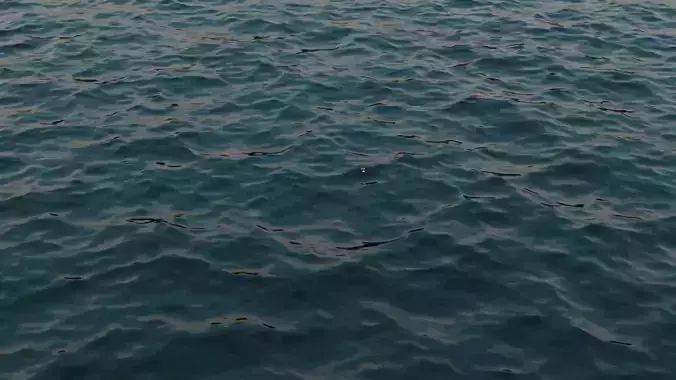 Real Ocean Low-poly 3D model
