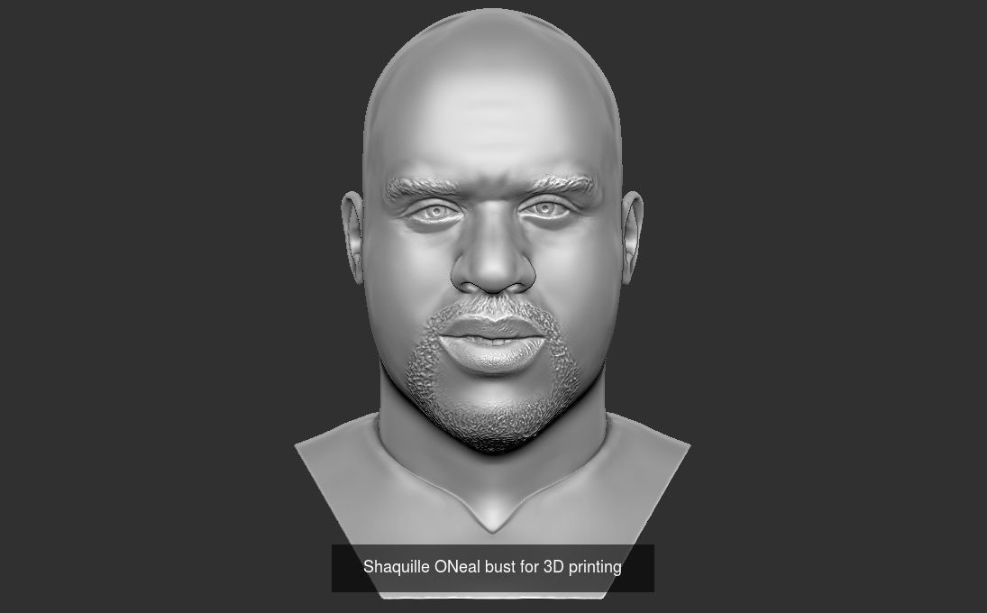 NBA Players busts for 3D printing v2 3D Model Collection_2