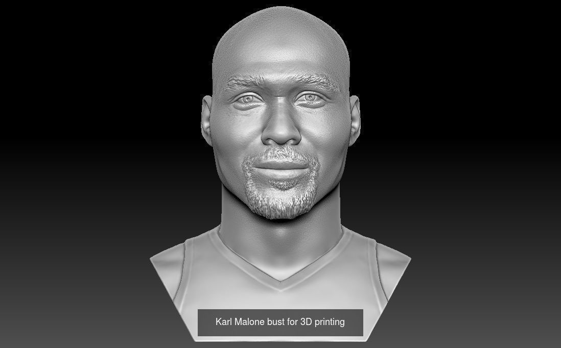 NBA Players busts for 3D printing v2 3D Model Collection_7