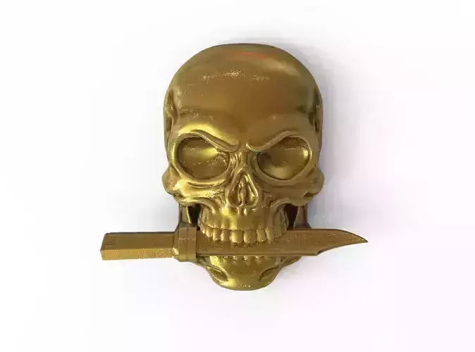 Skull with knife