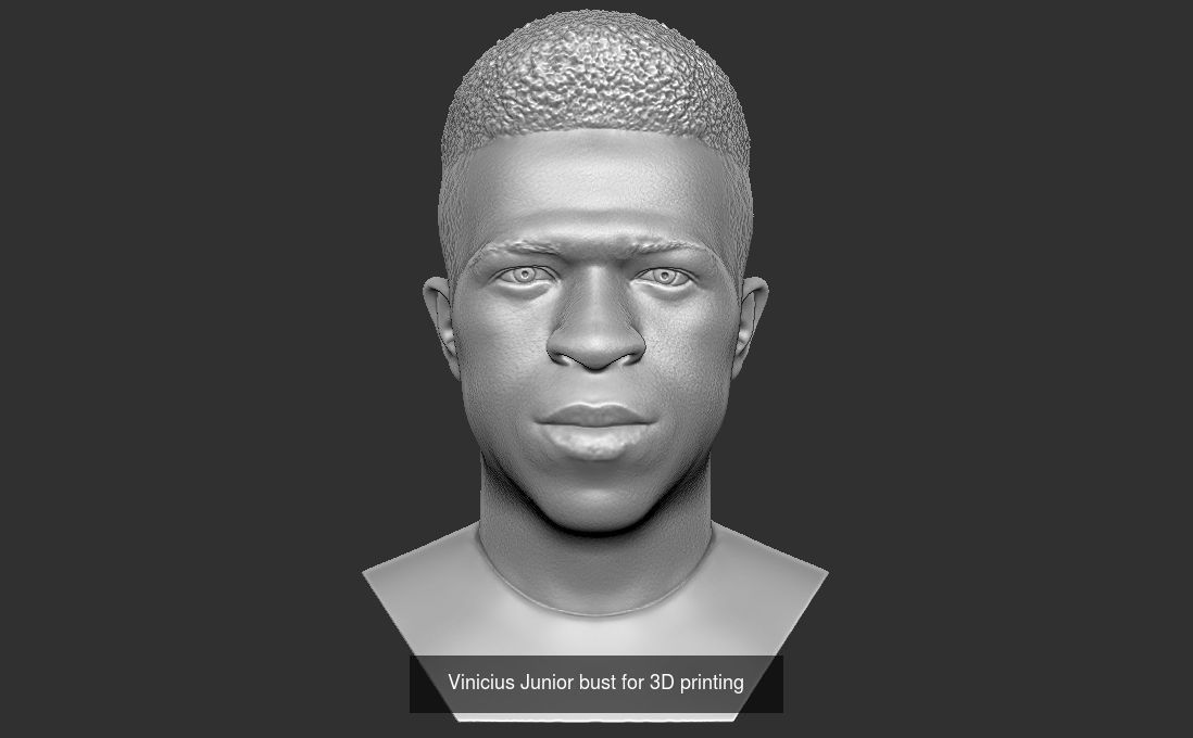 Famous Footballers busts for 3D printing  v2 3D Model Collection_6