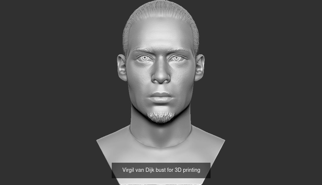 Famous Footballers busts for 3D printing  v2 3D Model Collection_9