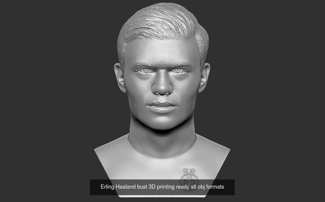 Famous Footballers busts for 3D printing  v2 3D Model Collection_1