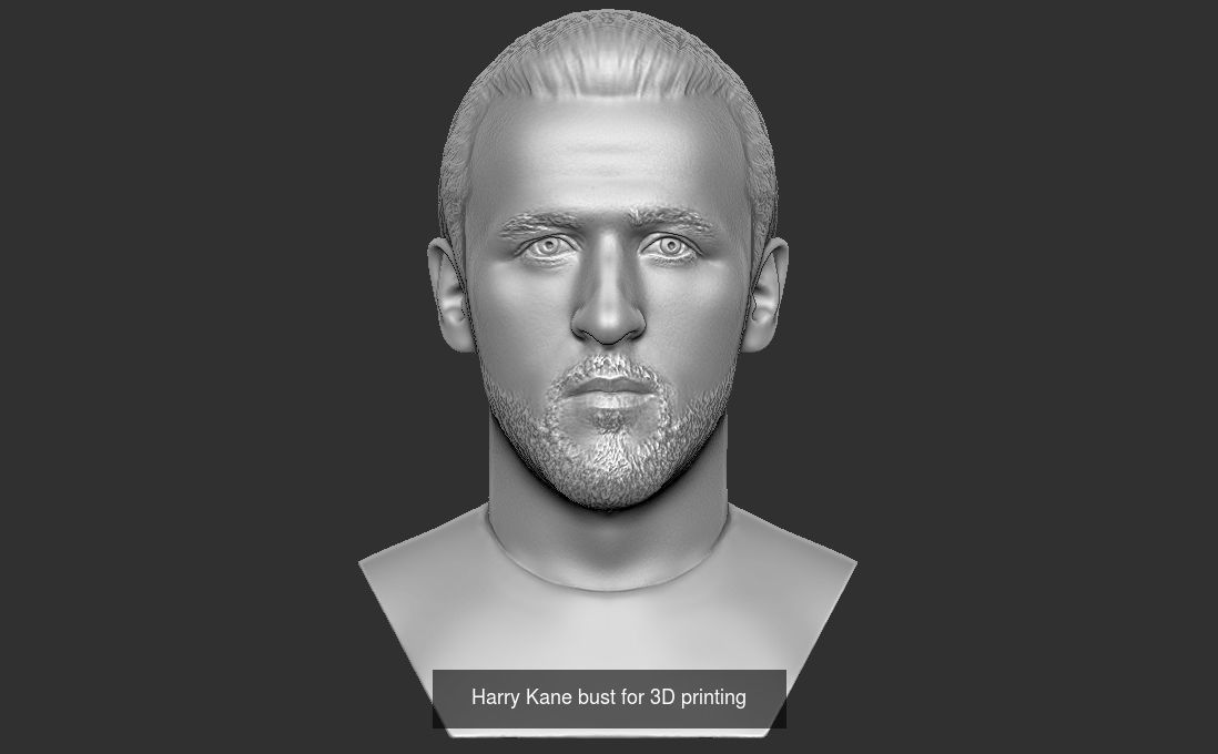 Famous Footballers busts for 3D printing  v2 3D Model Collection_8