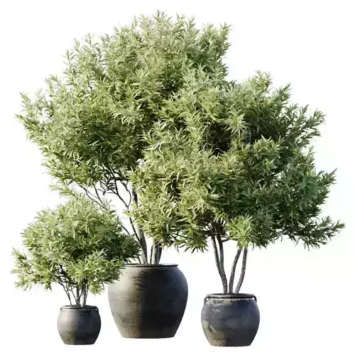 Plant 3 artificial trees in pots -