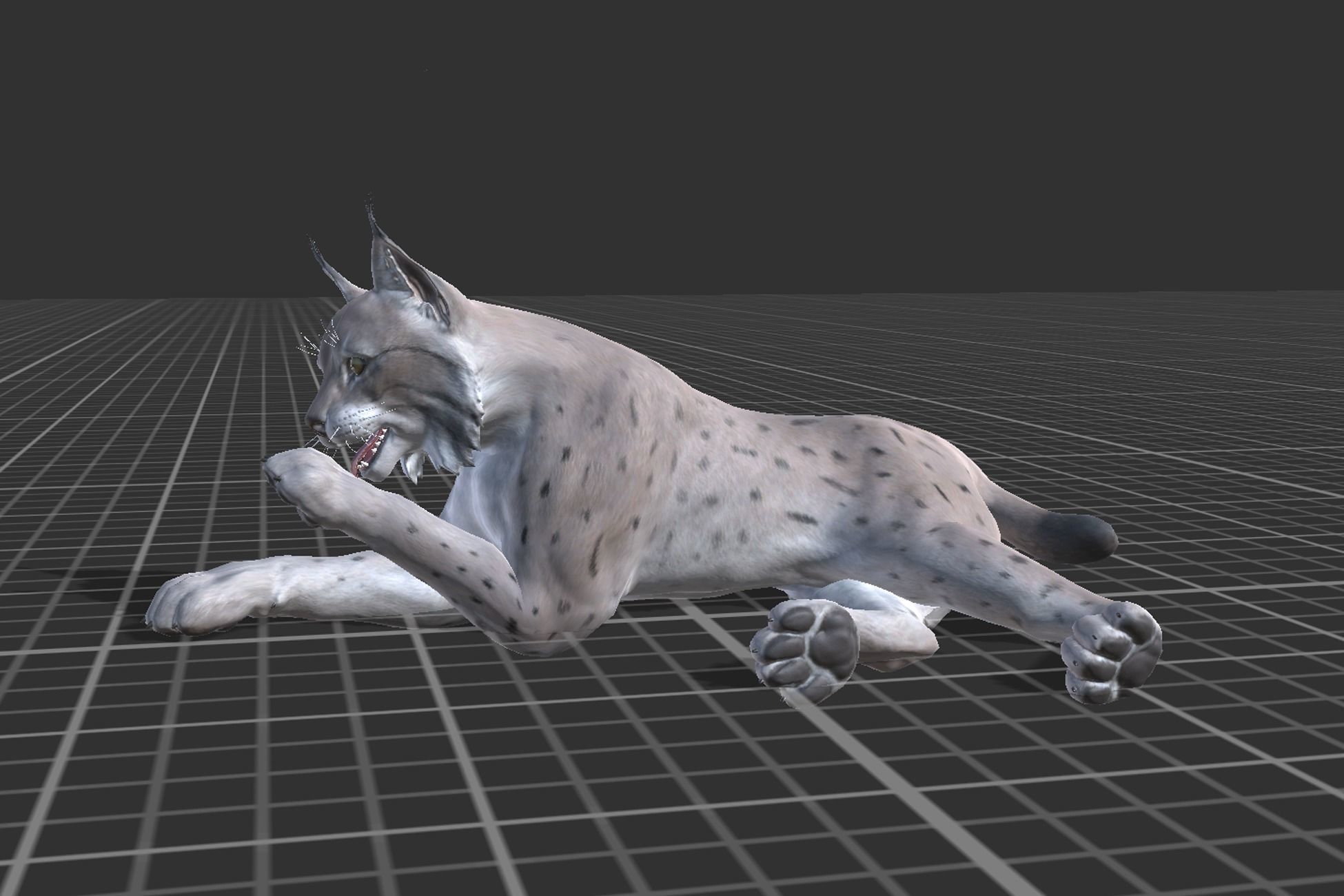 Bobcat Low-poly 3D model_8