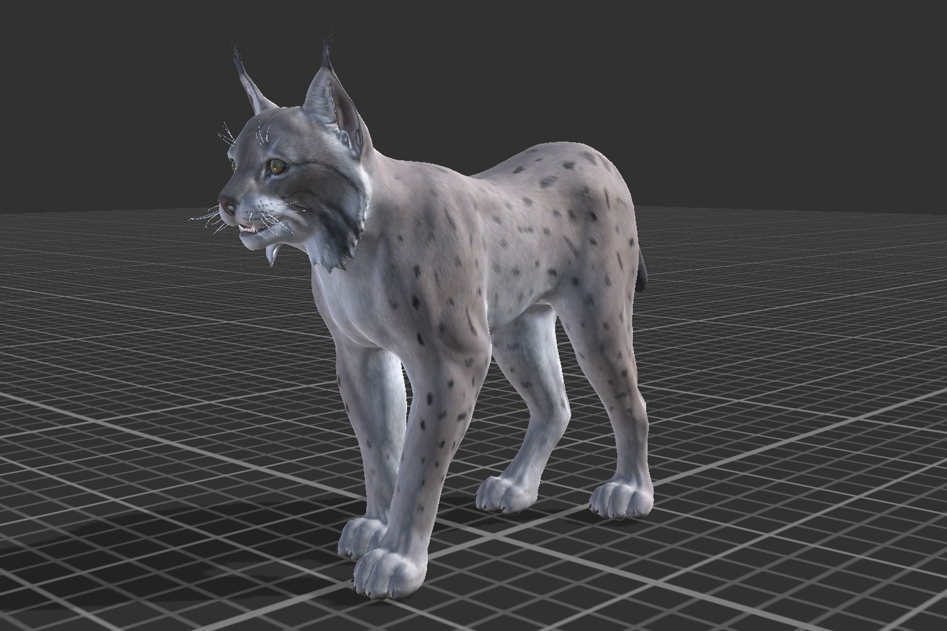 Bobcat Low-poly 3D model_5
