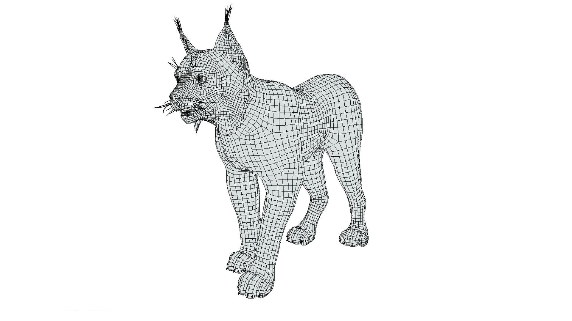 Bobcat Low-poly 3D model_3