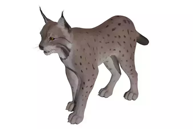 Bobcat  Low-poly 3D model