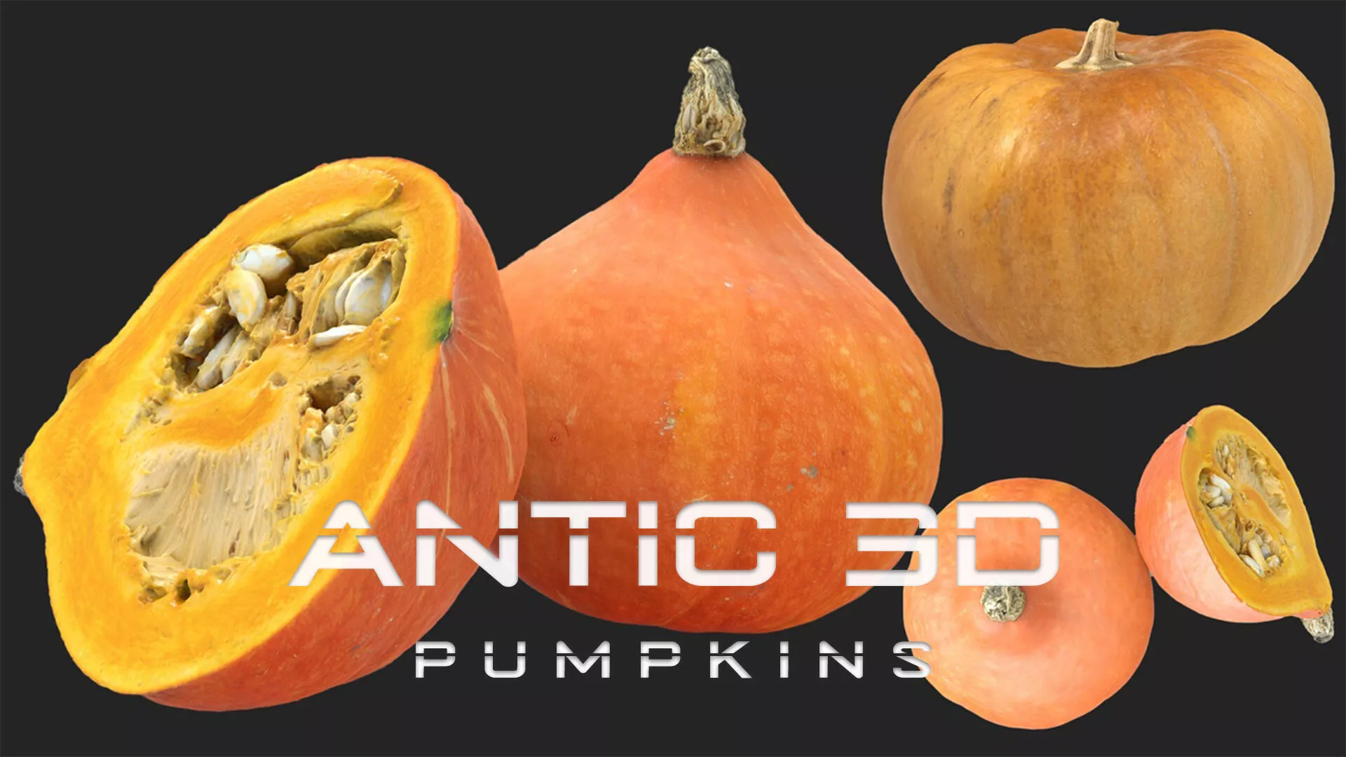 Cucurbita pumpkin Low-poly 3D model