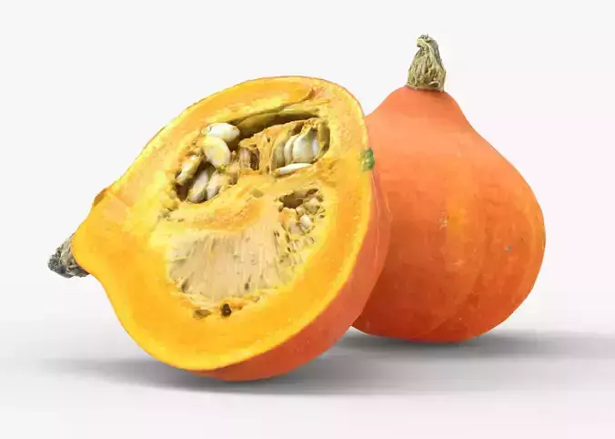 Cucurbita pumpkin