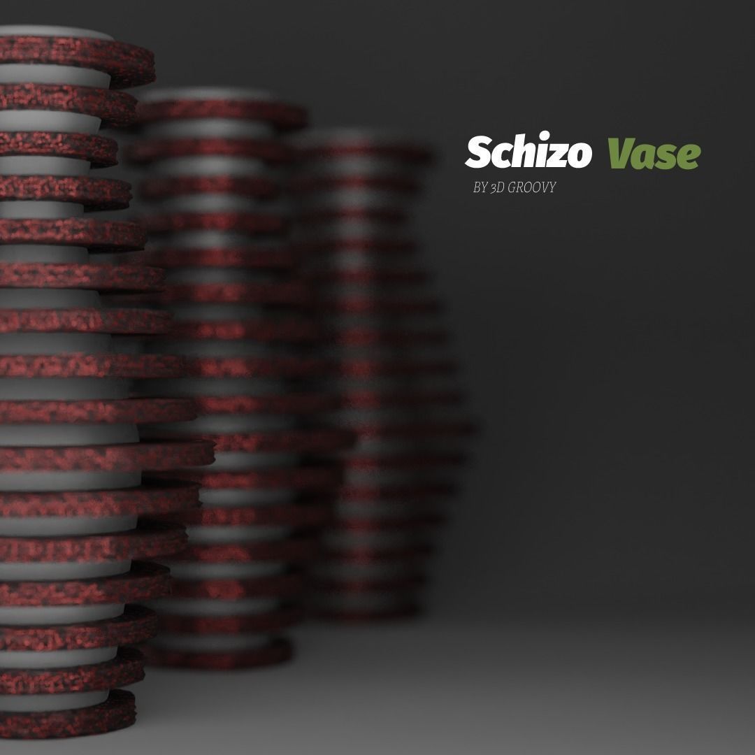 Schizo Vase 3D model_2