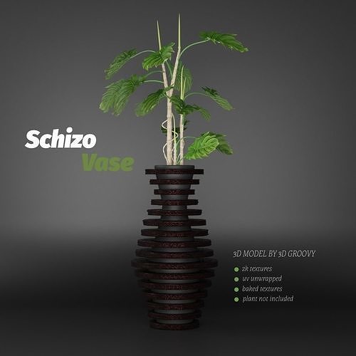 Schizo Vase 3D model