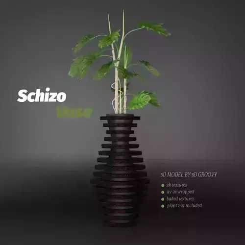 Schizo Vase 3D model