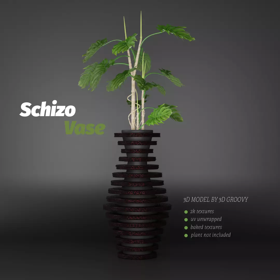 Schizo Vase 3D model_0