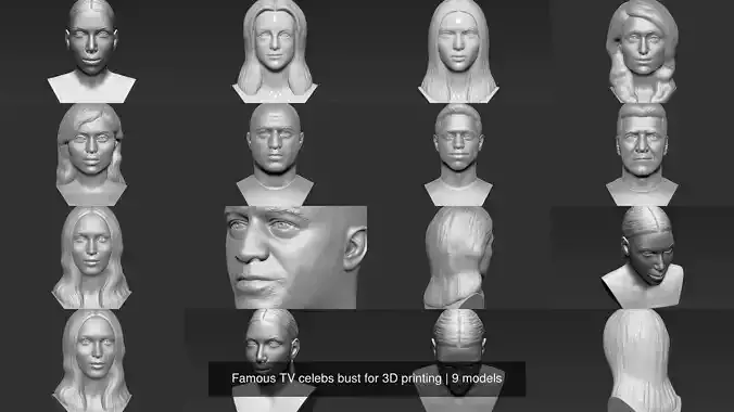 Famous TV celebs bust for 3D printing 3D Model Collection