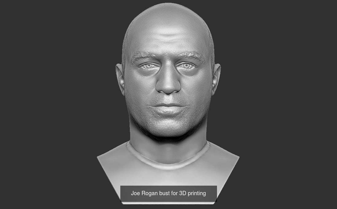 Famous TV celebs bust for 3D printing 3D Model Collection_6