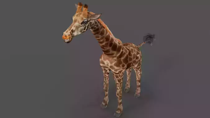 Fur Giraffe NO Rigged in Blender
