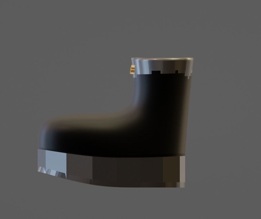 Autumn boots 3D model_1