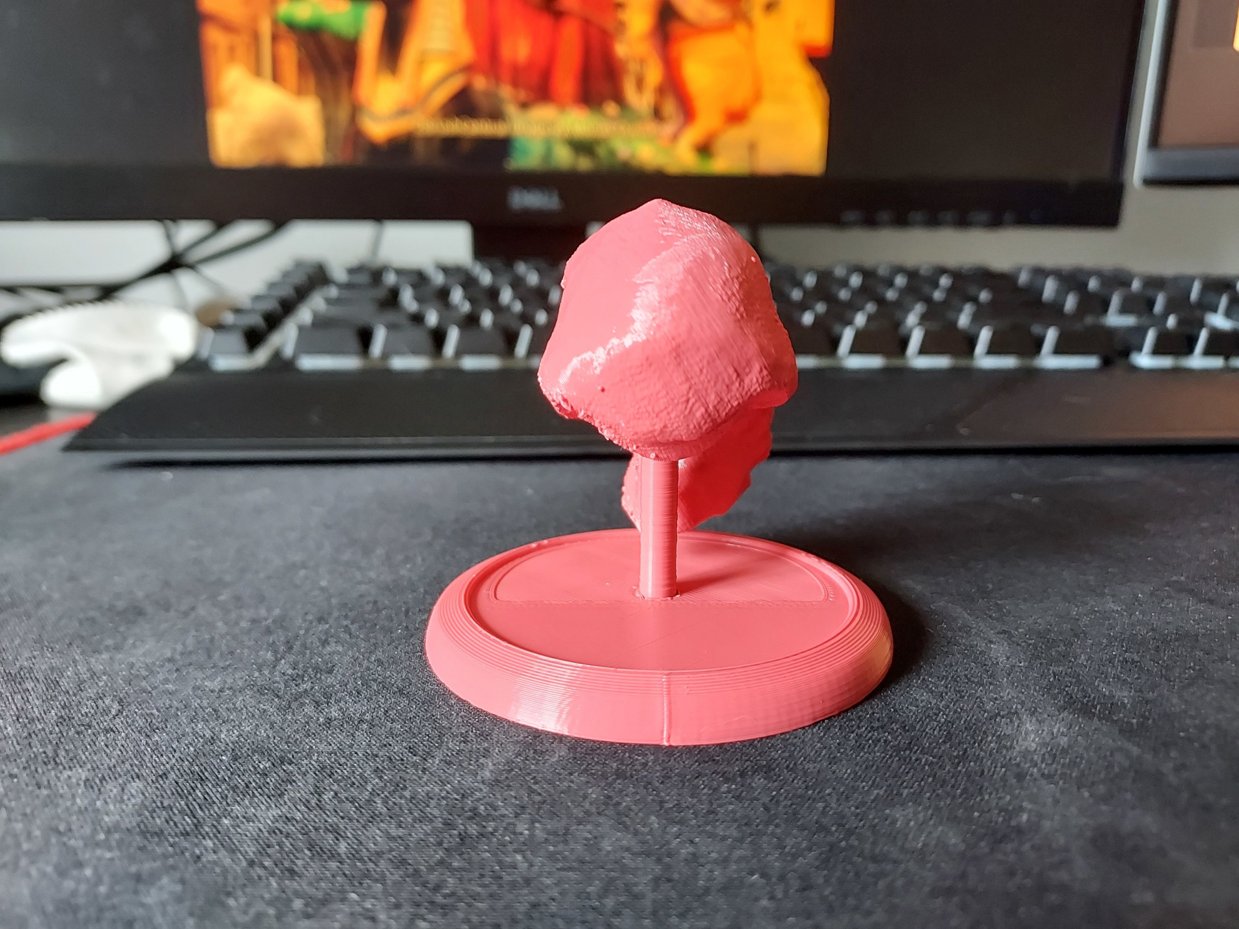 Lucy Ancient Human Skull Stylized - Pre-Supported - STL File 3D print model_4