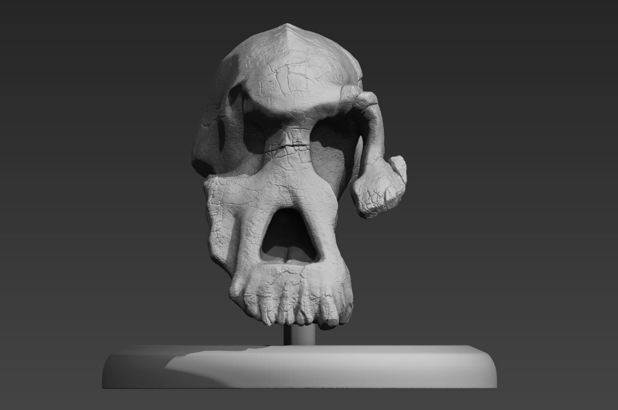 Lucy Ancient Human Skull Stylized - Pre-Supported - STL File 3D print model_2