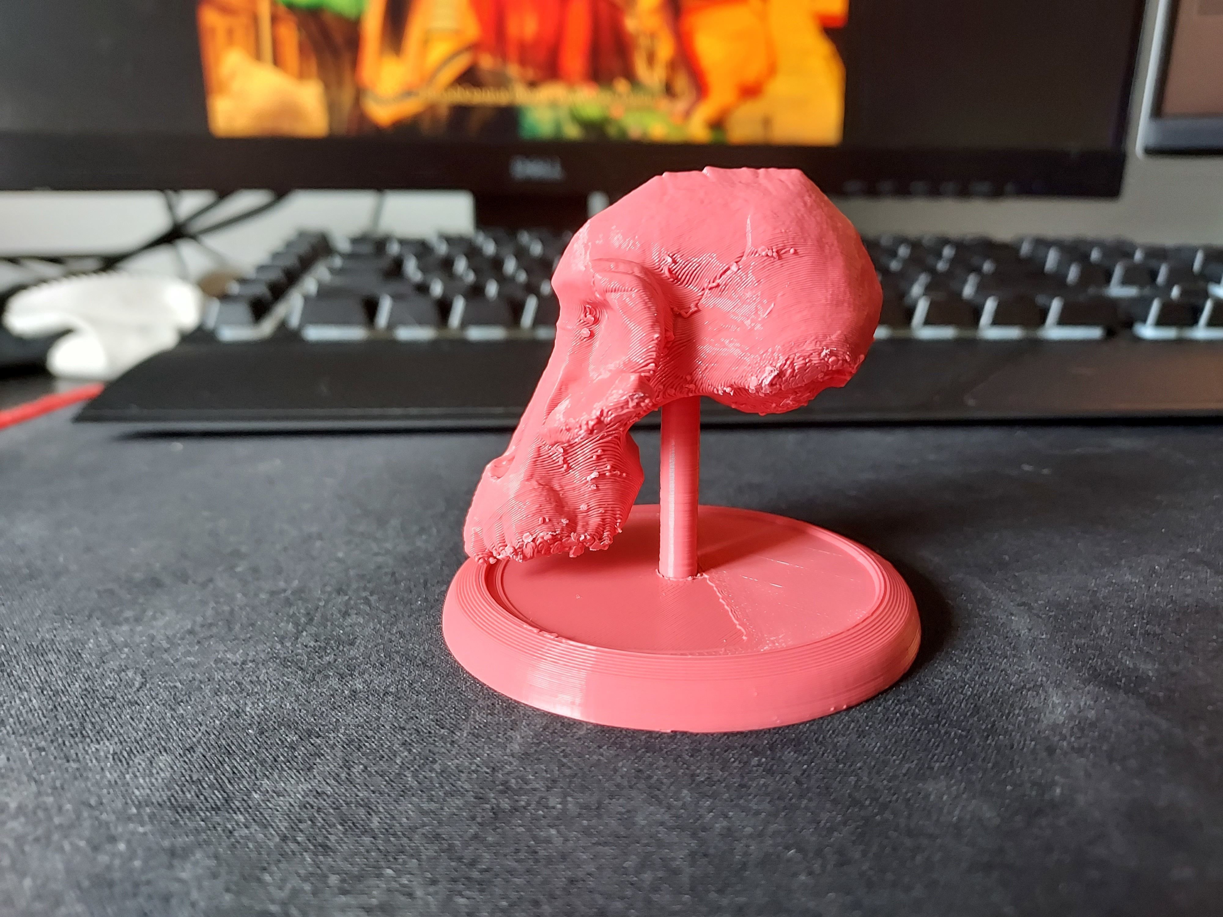 Lucy Ancient Human Skull Stylized - Pre-Supported - STL File 3D print model_3