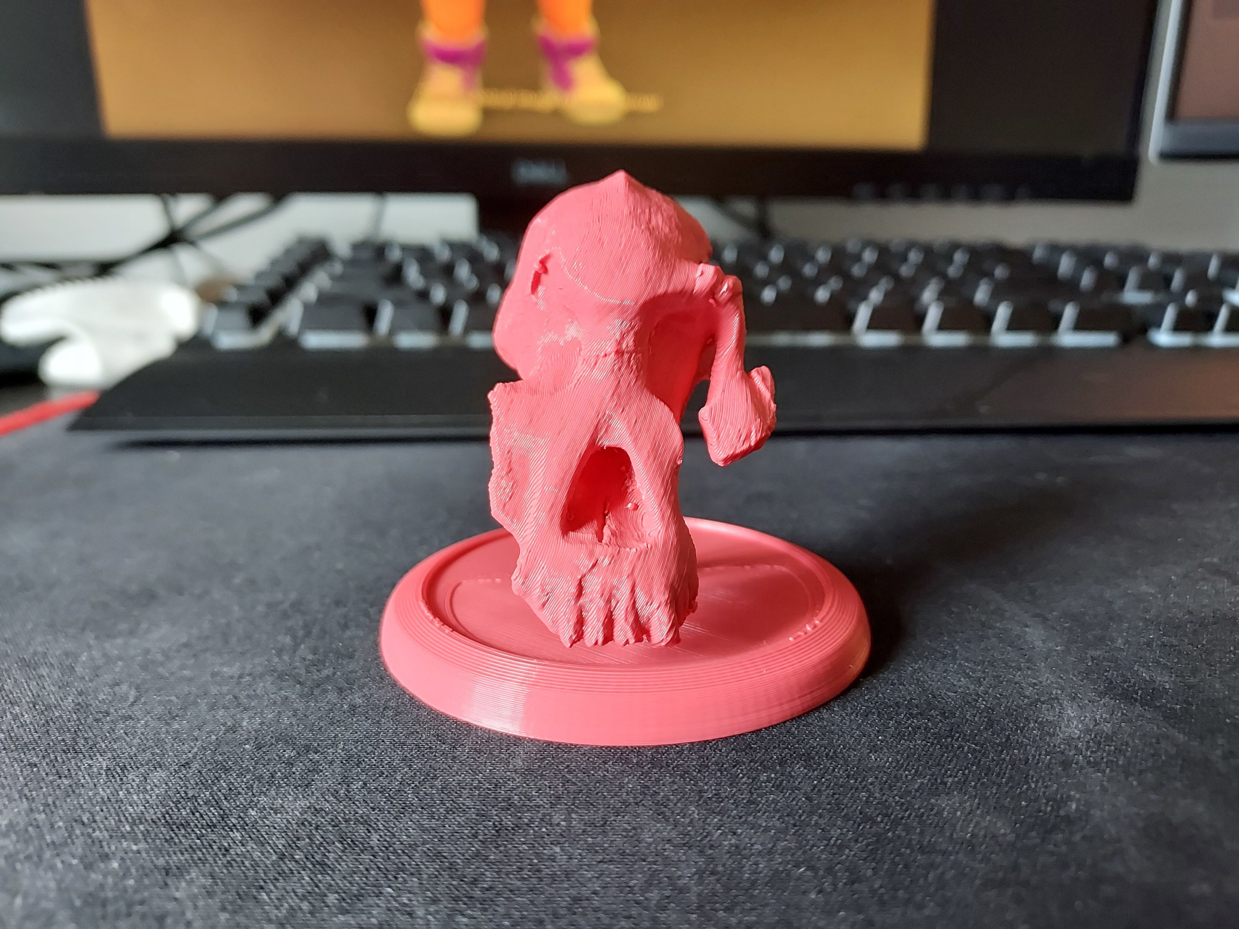 Lucy Ancient Human Skull Stylized - Pre-Supported - STL File 3D print model_1