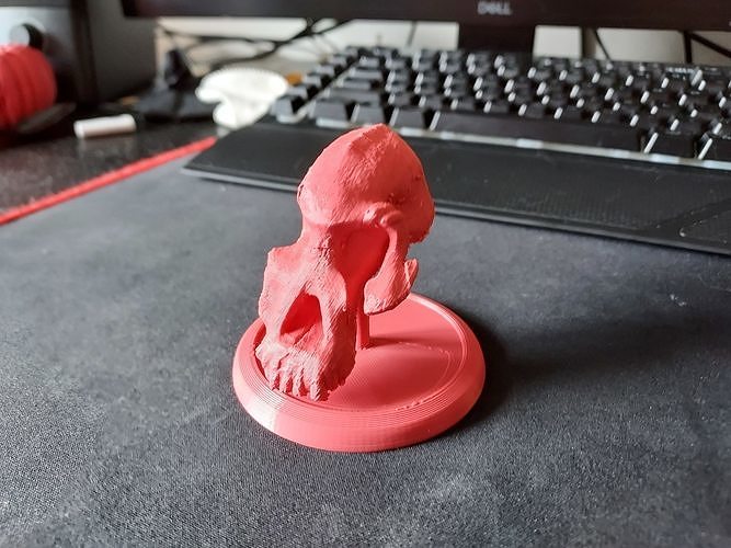 Lucy Ancient Human Skull Stylized - Pre-Supported - STL File 3D print model