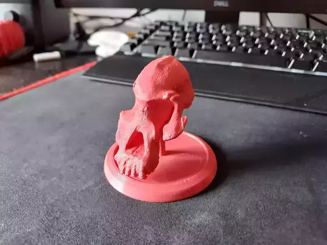 Lucy Ancient Human Skull Stylized - Pre-Supported - STL File 3D print model