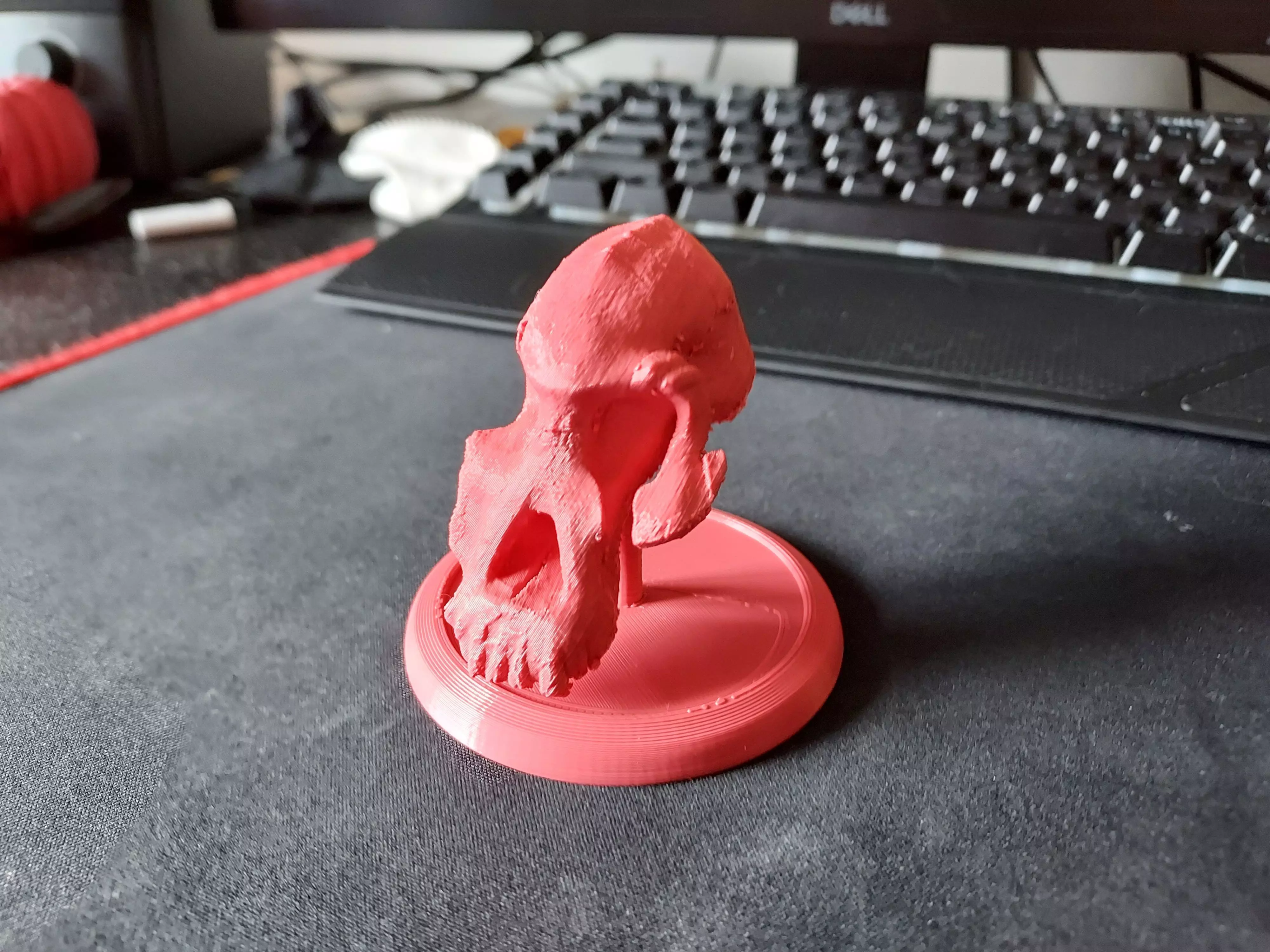Lucy Ancient Human Skull Stylized - Pre-Supported - STL File 3D print model_0