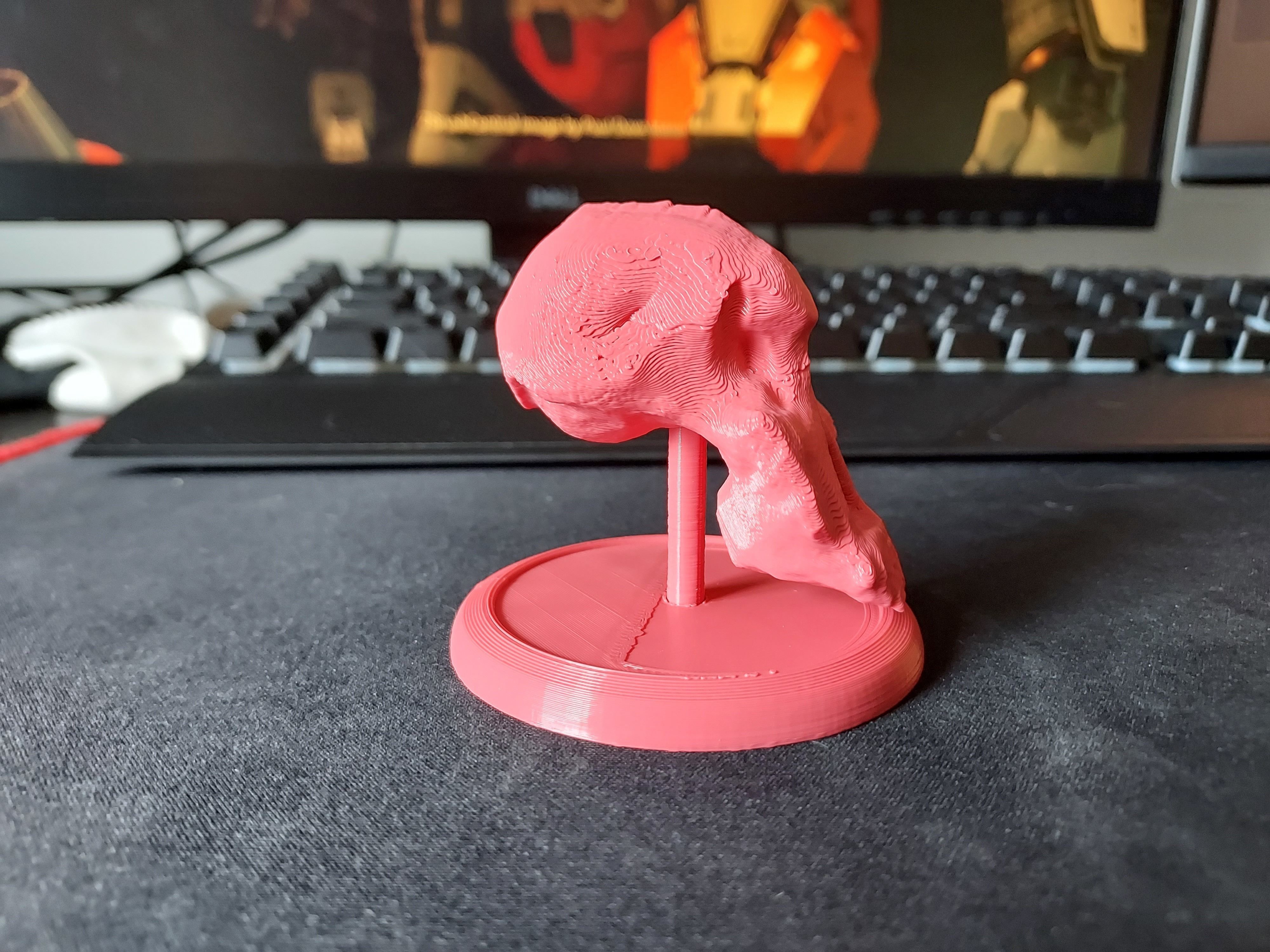 Lucy Ancient Human Skull Stylized - Pre-Supported - STL File 3D print model_5