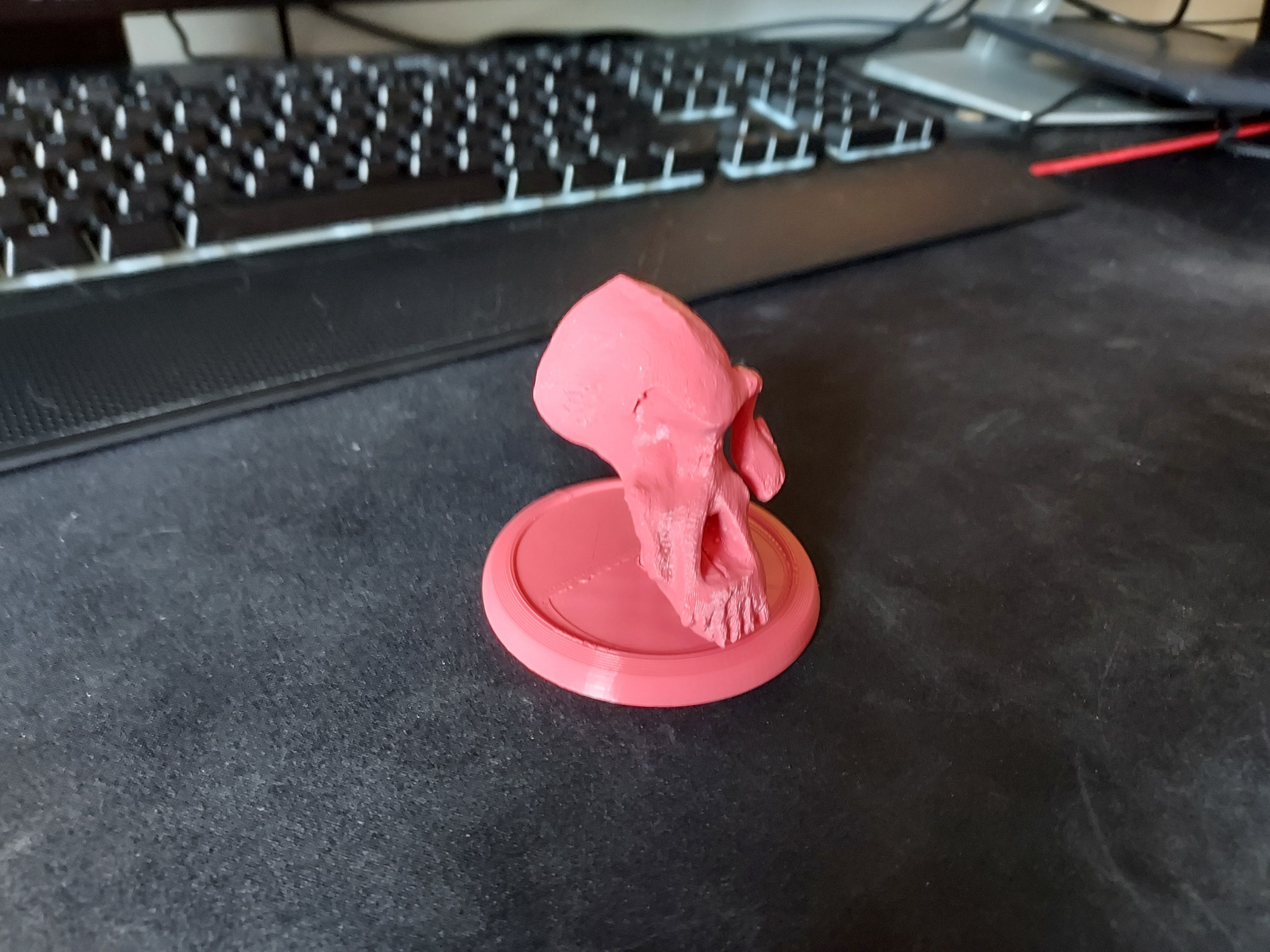 Lucy Ancient Human Skull Stylized - Pre-Supported - STL File 3D print model_6
