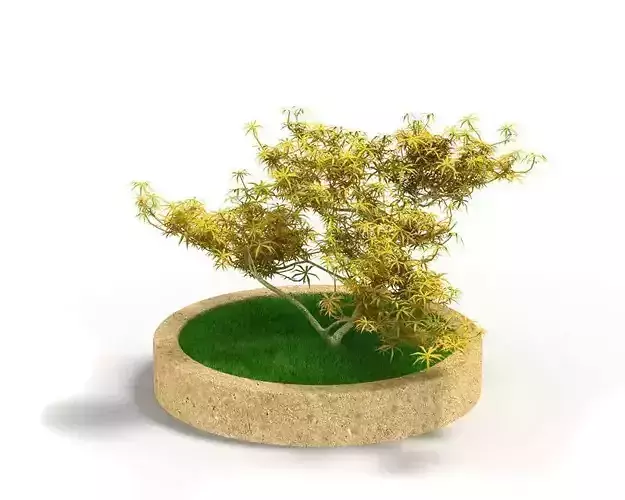 Yellow Leafs On A Plant With Green Lawn And Vase