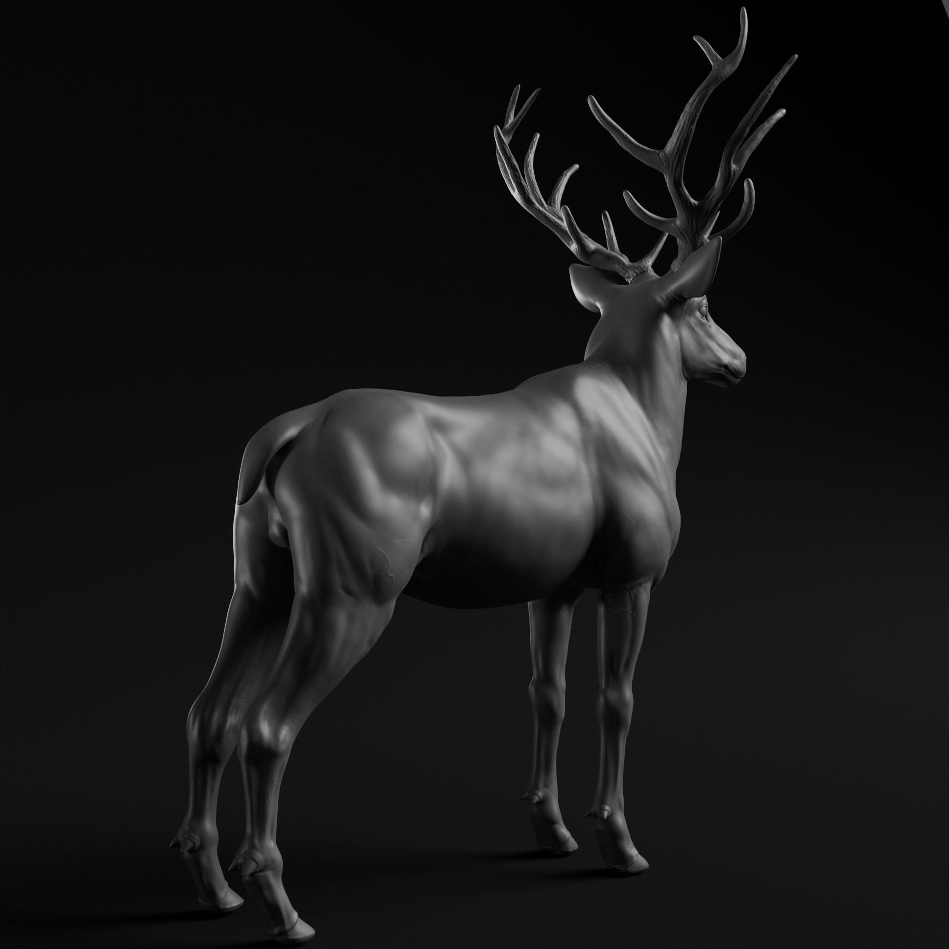 Deer - Highpoly Sculpture 3D model  3D model_4