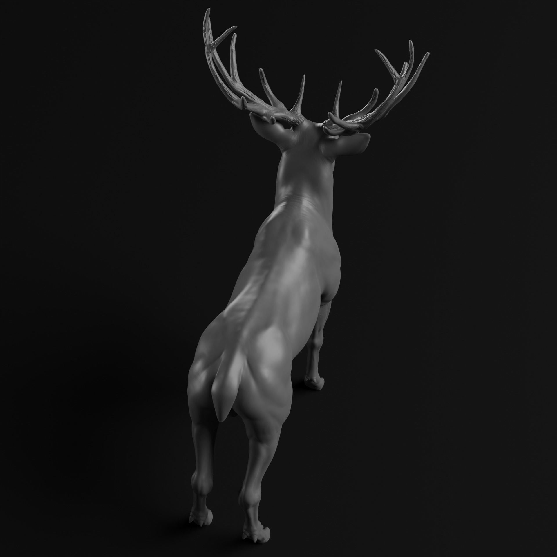 Deer - Highpoly Sculpture 3D model  3D model_6