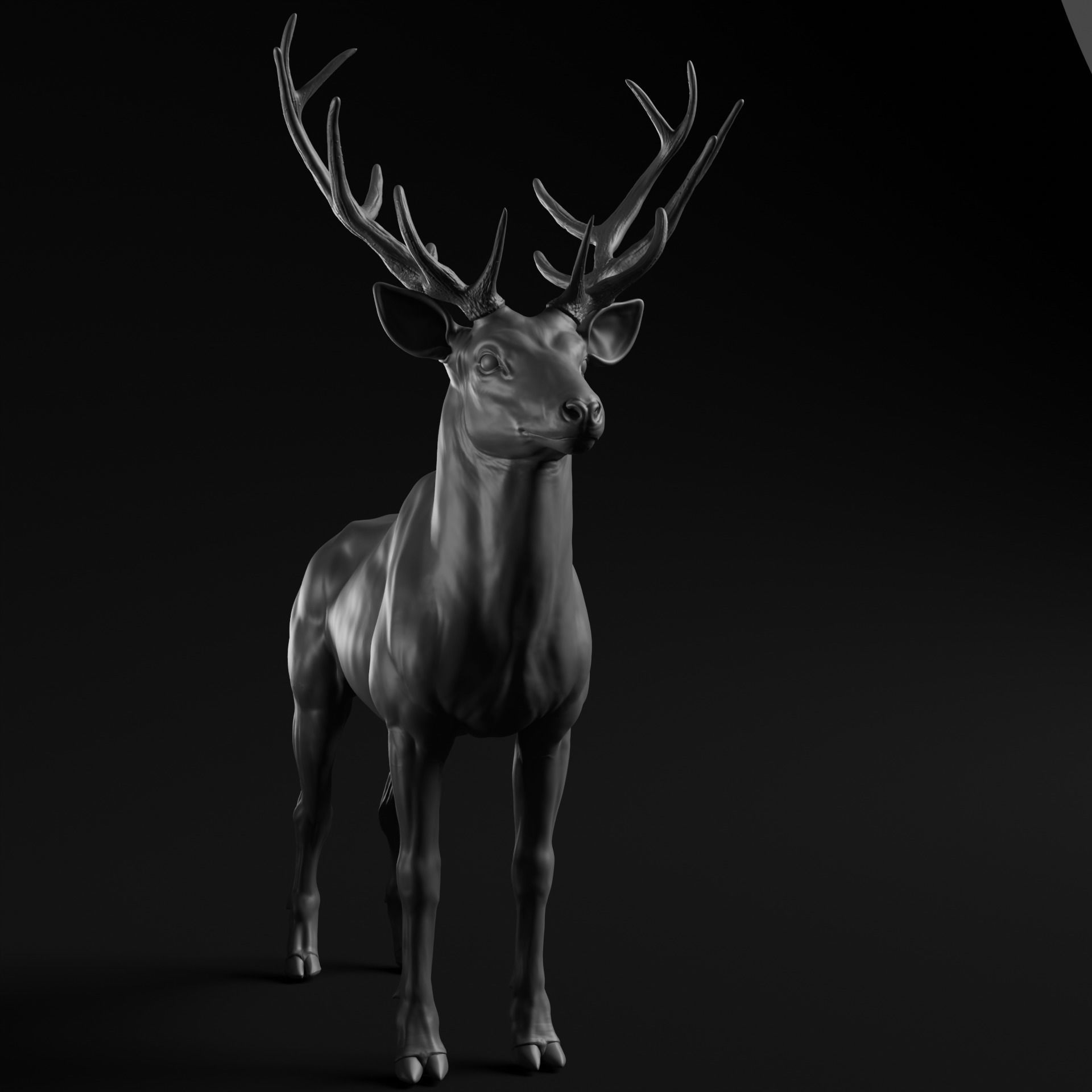 Deer - Highpoly Sculpture 3D model  3D model_5