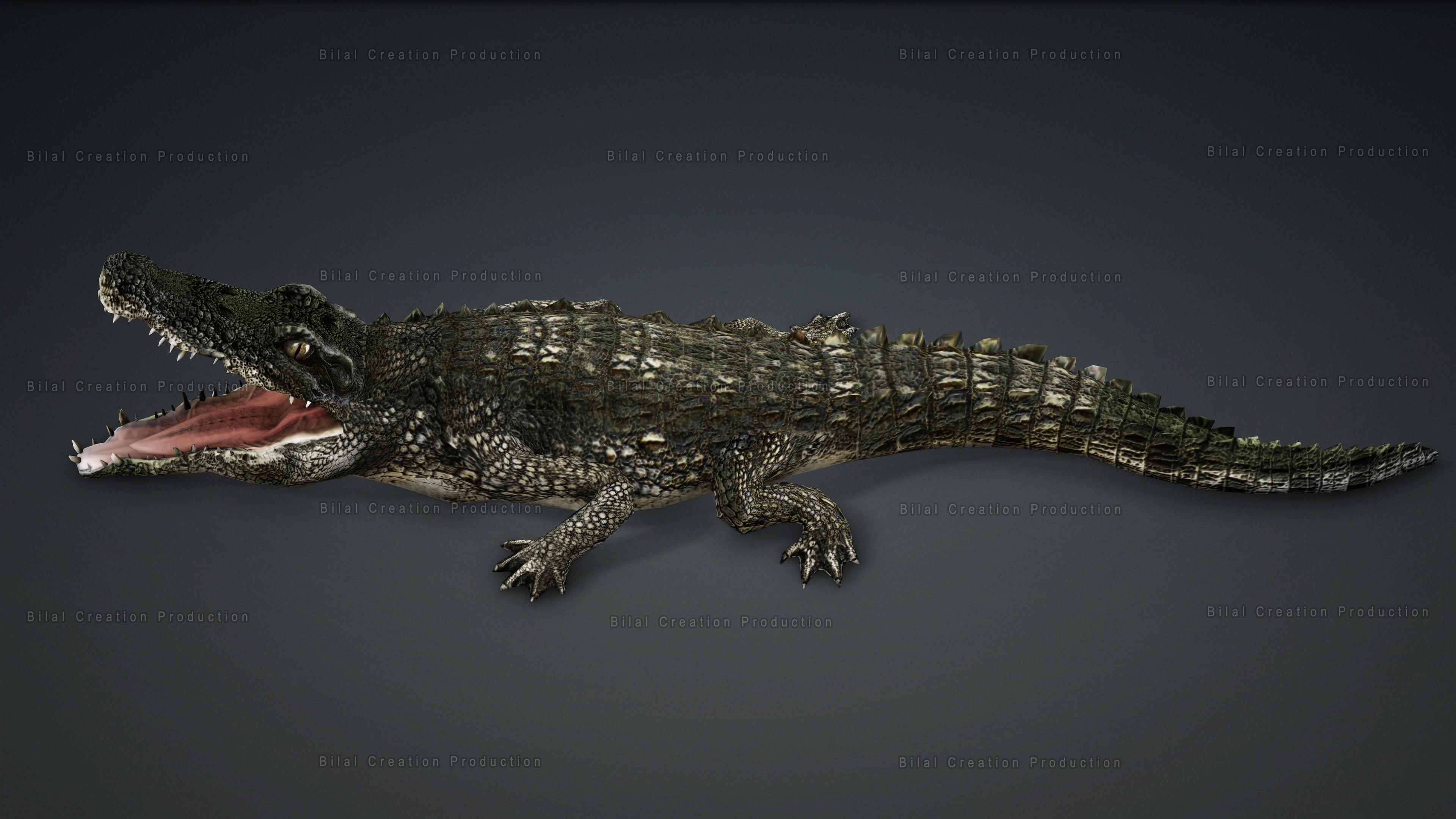 CROCODILE RIGGED ANIMATED 7 3D model_5