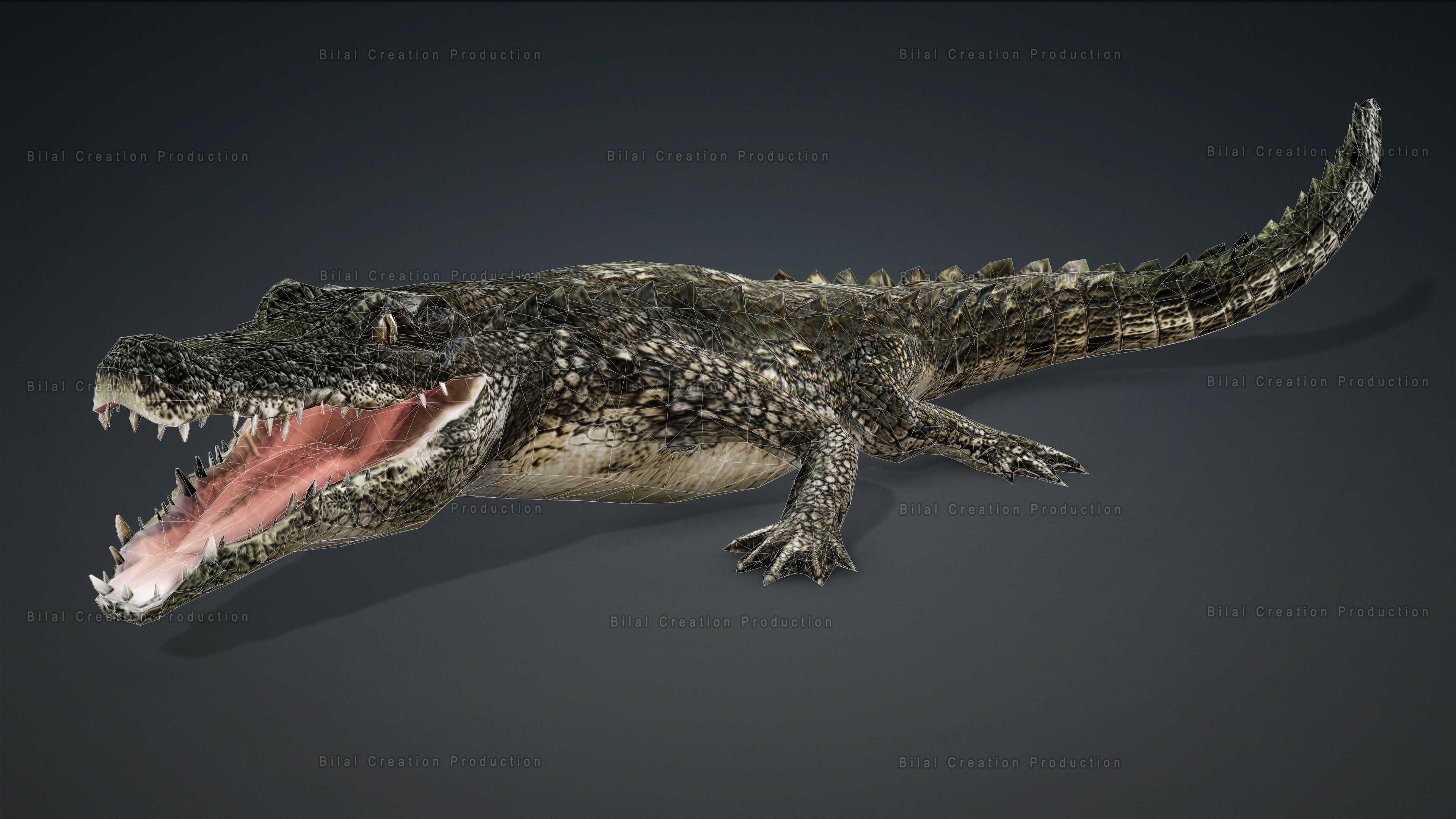 CROCODILE RIGGED ANIMATED 7 3D model_24