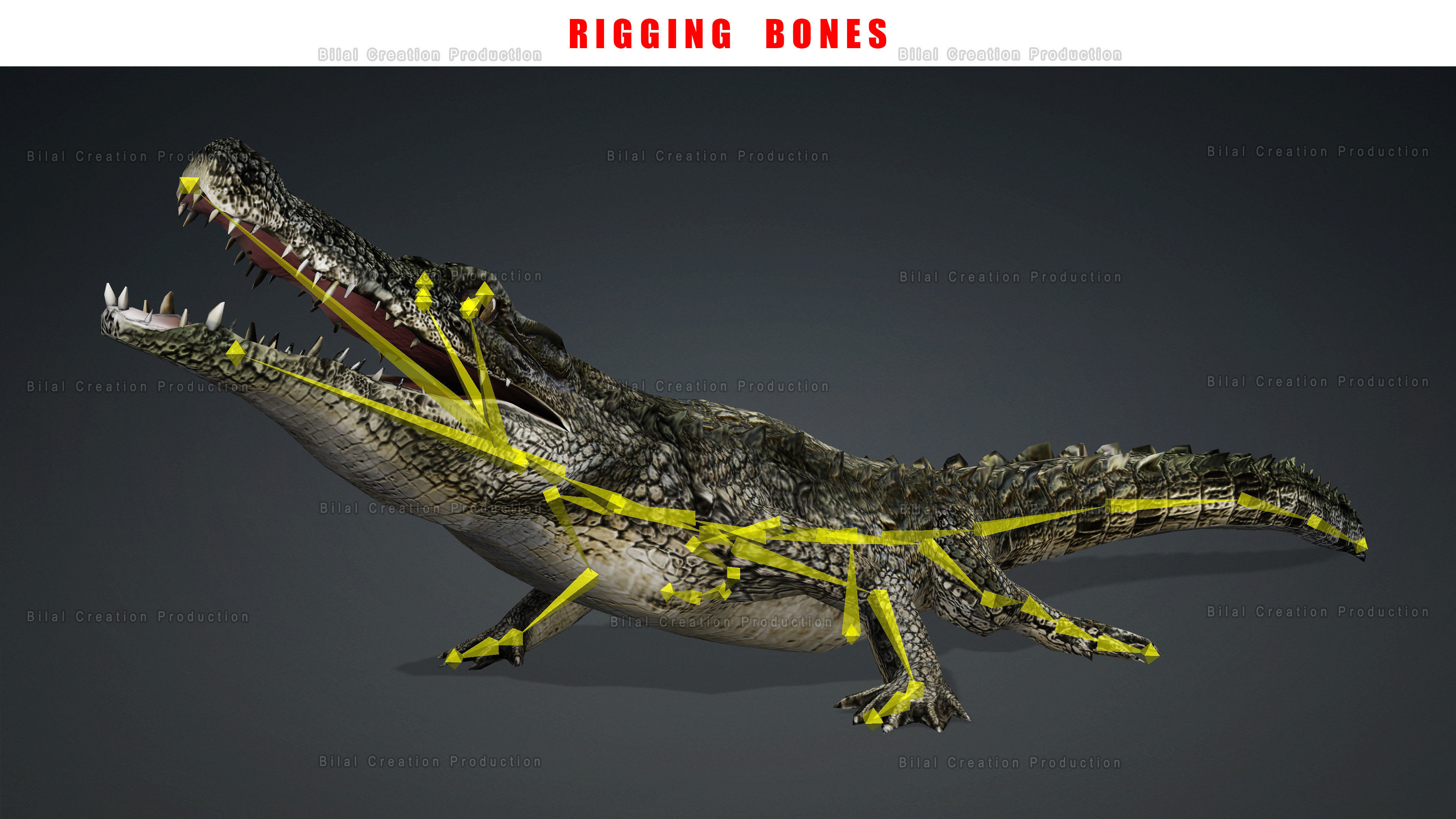 CROCODILE RIGGED ANIMATED 7 3D model_22